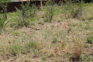 0 Bedroom Property for Sale in Mabopane Unit M North West